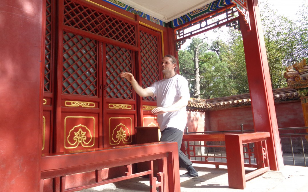 Shifu Michael Paler practicing Imperial Yang Tai Chi at the Imperial Palace