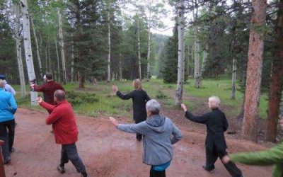 Going The Extra Mile With Sifu Michael Paler of Tai Chi Colorado Springs